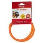 Chrisco LED-halsring i orange, 70 cm