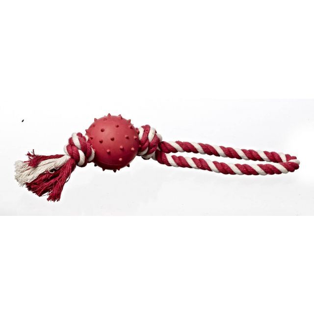 Chrisco Bold på reb